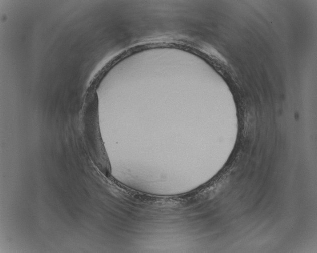 X0000078271216200612011711