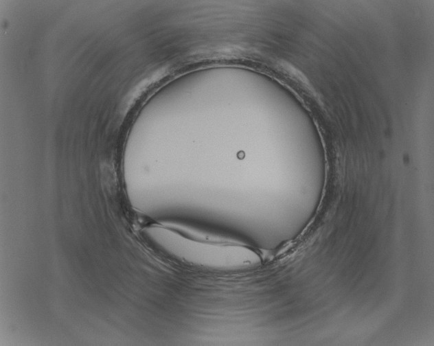 X0000078271218200612011711