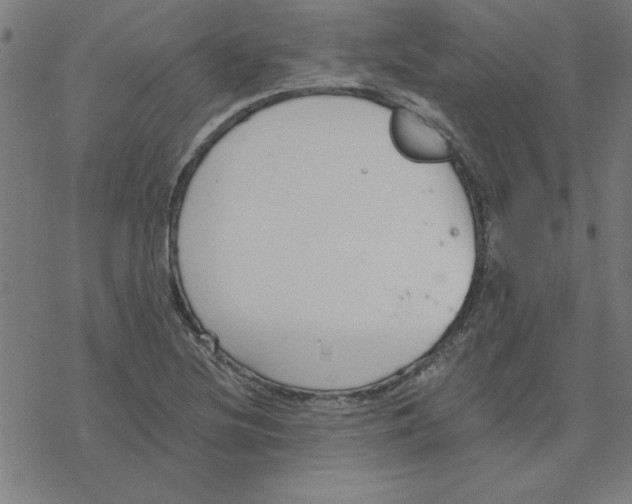 X0000078271220200612011711