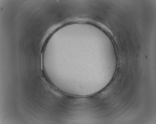 X0000078271223200612011711