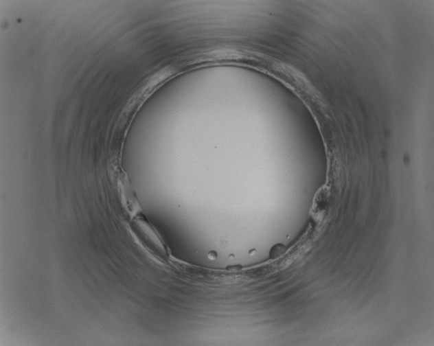 X0000078271225200612011711