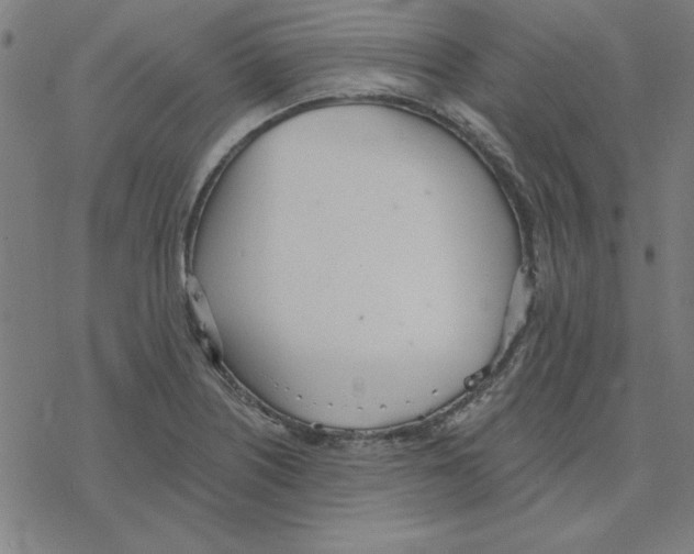 X0000078271226200612011711