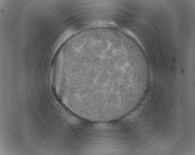 X0000078271227200612011711