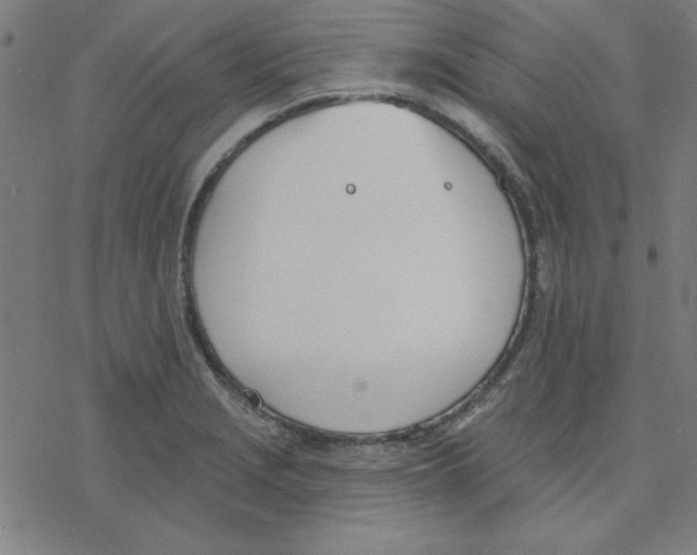 X0000078271229200612011711