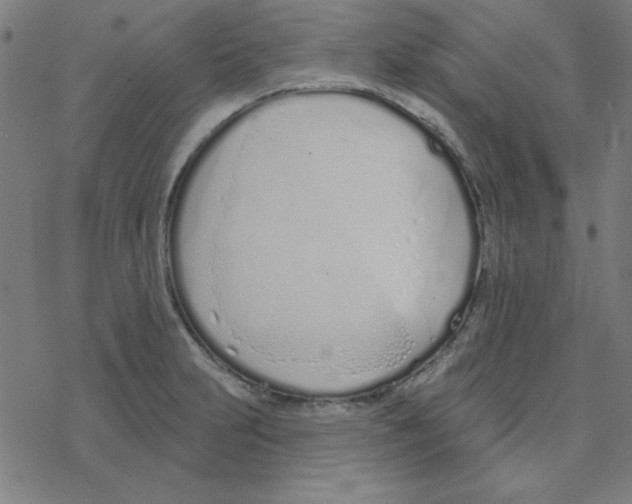 X0000078271231200612011711