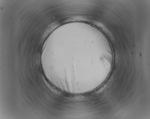 X0000078271233200612011711