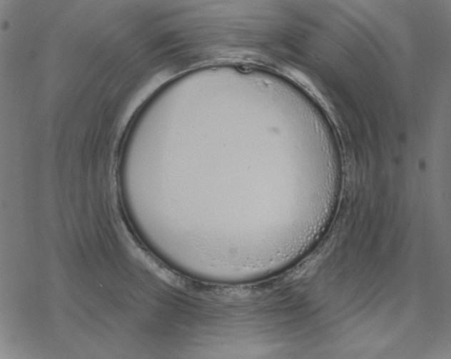 X0000078271235200612011711