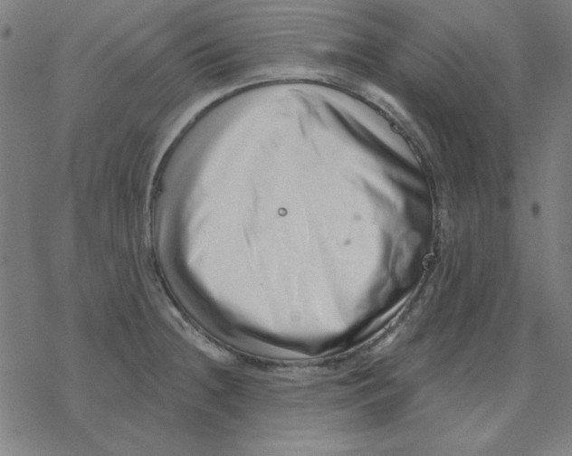 X0000078271236200612011711