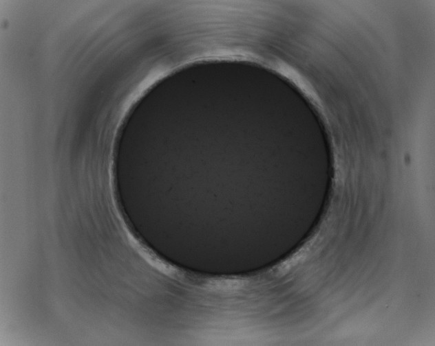 X0000078271237200612011711