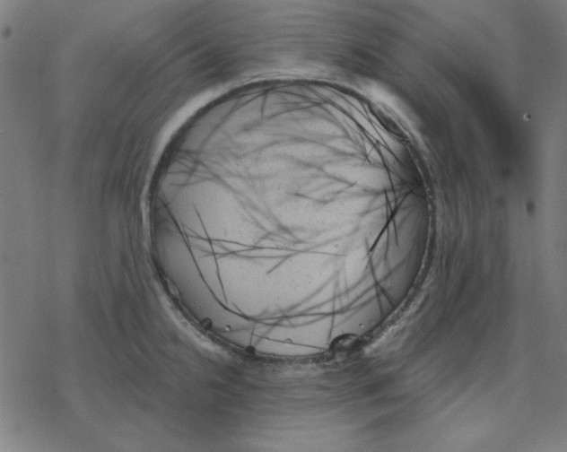 X0000078271238200612011711