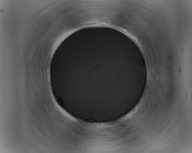 X0000078271239200612011711