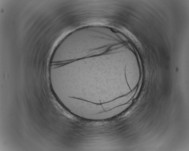 X0000078271240200612011711