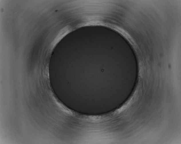 X0000078271241200612011711