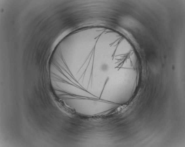 X0000078271242200612011711