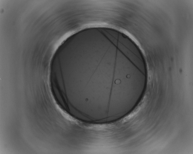 X0000078271245200612011711