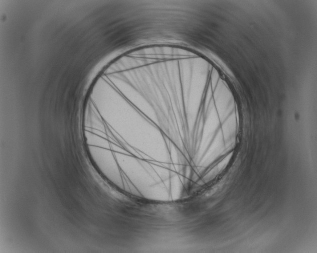 X0000078271246200612011711