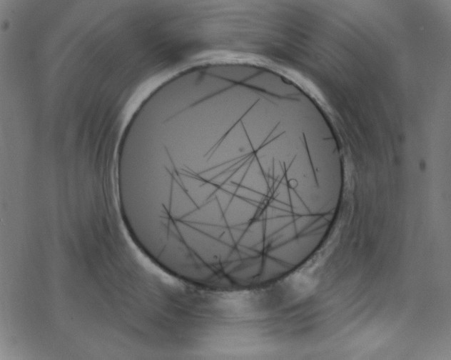 X0000078271247200612011711