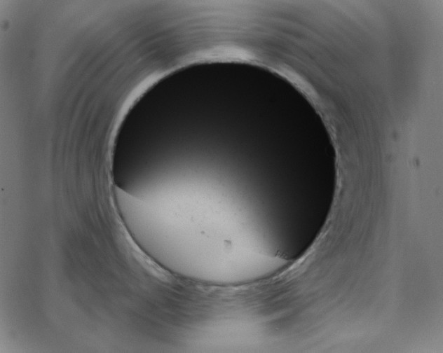 X0000078271248200612011711