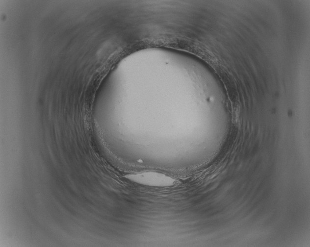 X0000078271251200612011711