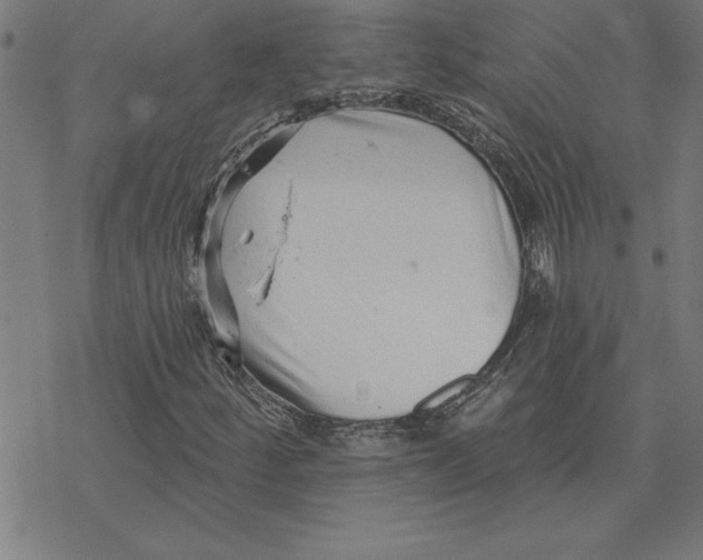 X0000078271252200612011710