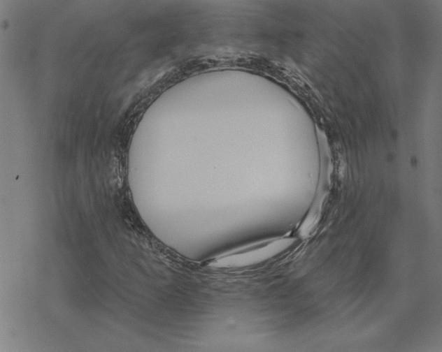 X0000078271253200612011710