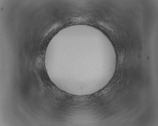 X0000078271254200612011710