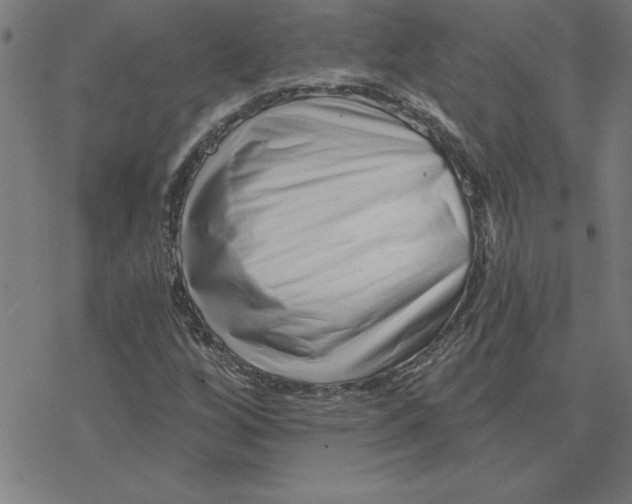 X0000078271256200612011710