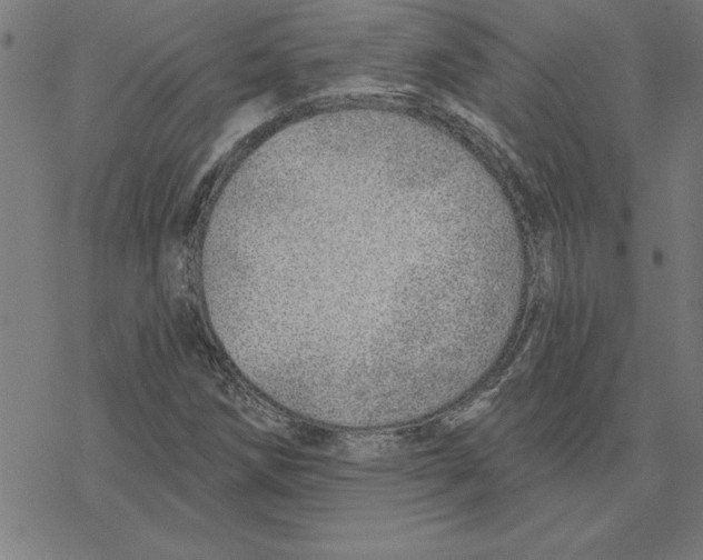 X0000078271258200612011710