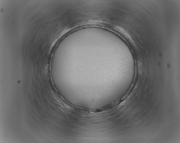 X0000078271260200612011710