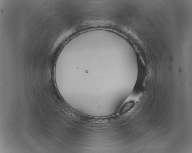 X0000078271261200612011710