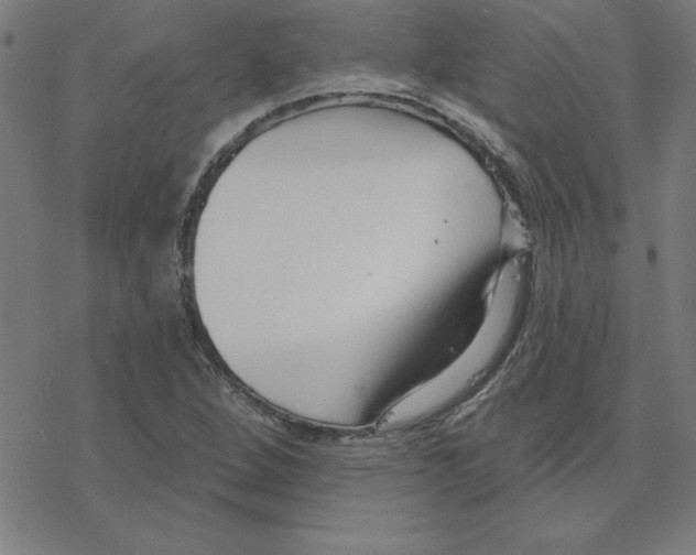 X0000078271264200612011710