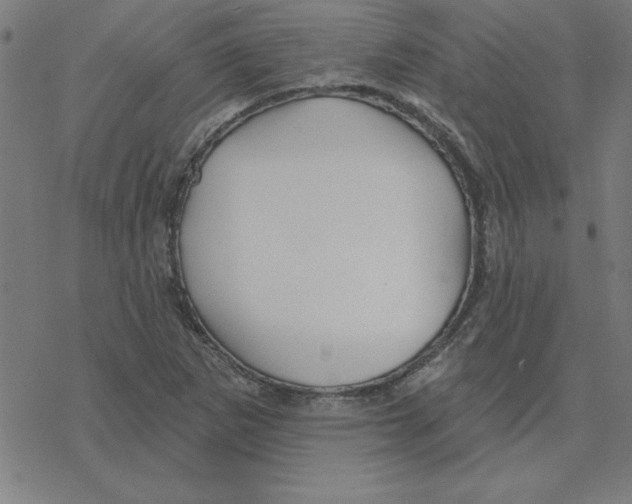 X0000078271265200612011710