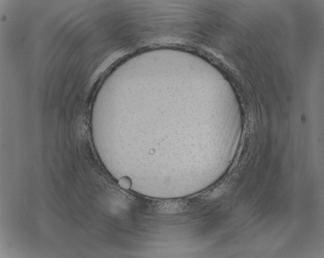 X0000078271266200612011710