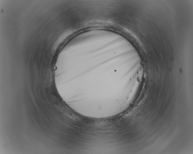 X0000078271267200612011710