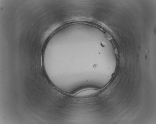 X0000078271269200612011710