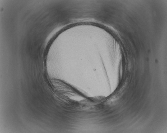 X0000078271271200612011710