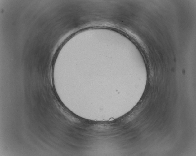 X0000078271272200612011710