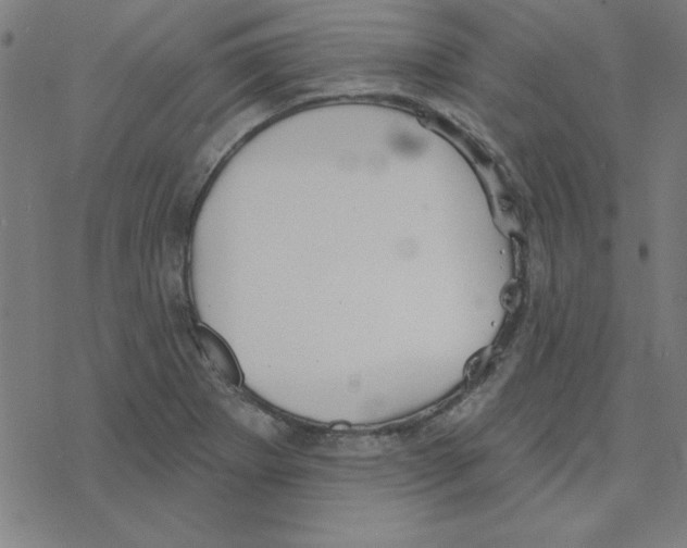 X0000078271273200612011710