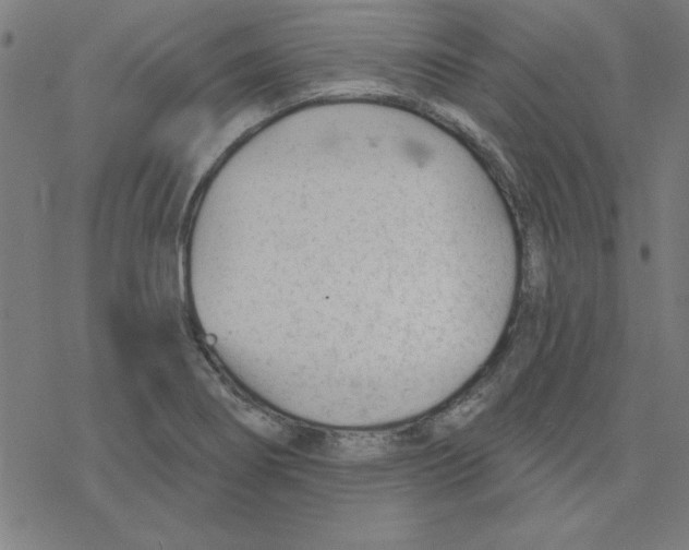 X0000078271274200612011710