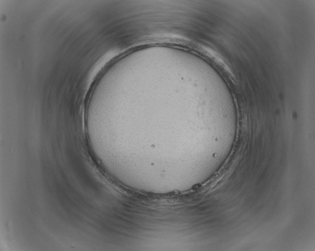 X0000078271275200612011710