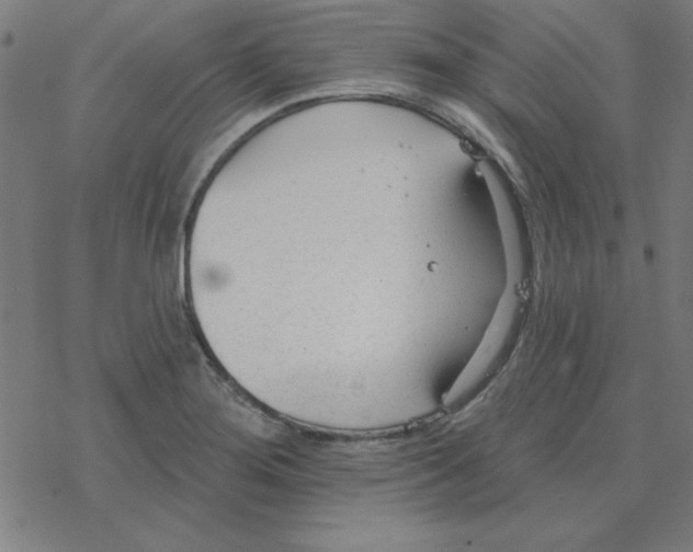 X0000078271276200612011710