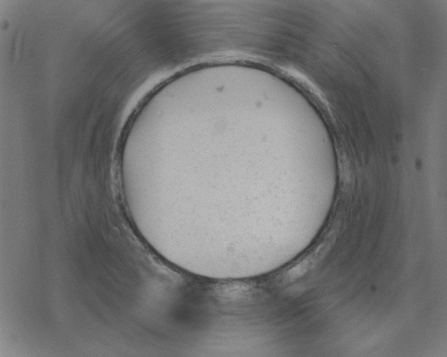 X0000078271278200612011710