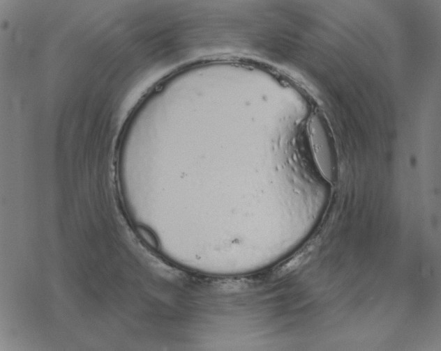 X0000078271279200612011710