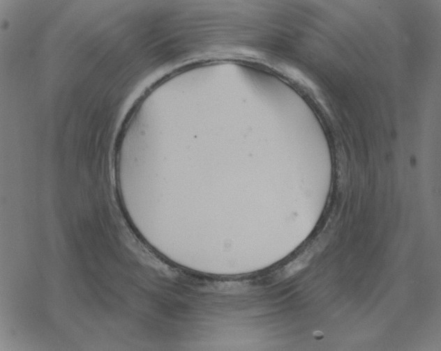 X0000078271280200612011710