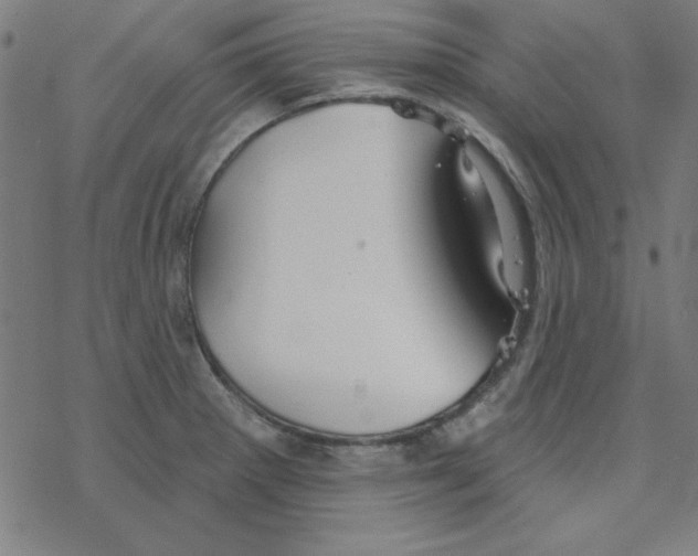 X0000078271281200612011710