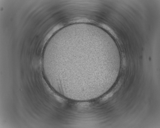 X0000078271282200612011710