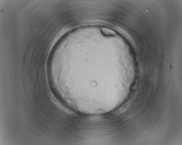 X0000078271283200612011710