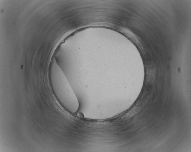 X0000078271284200612011710