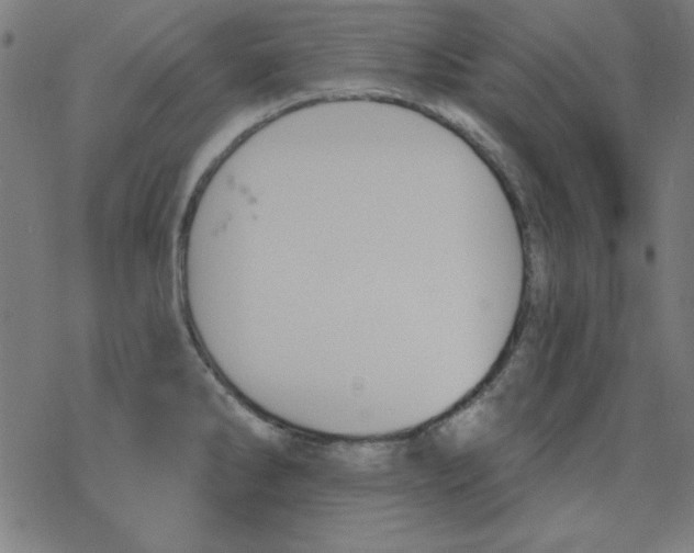 X0000078271286200612011710