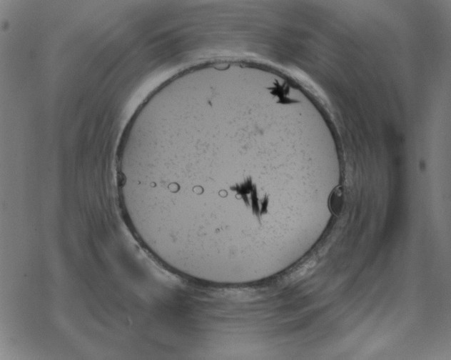 X0000078271287200612011710